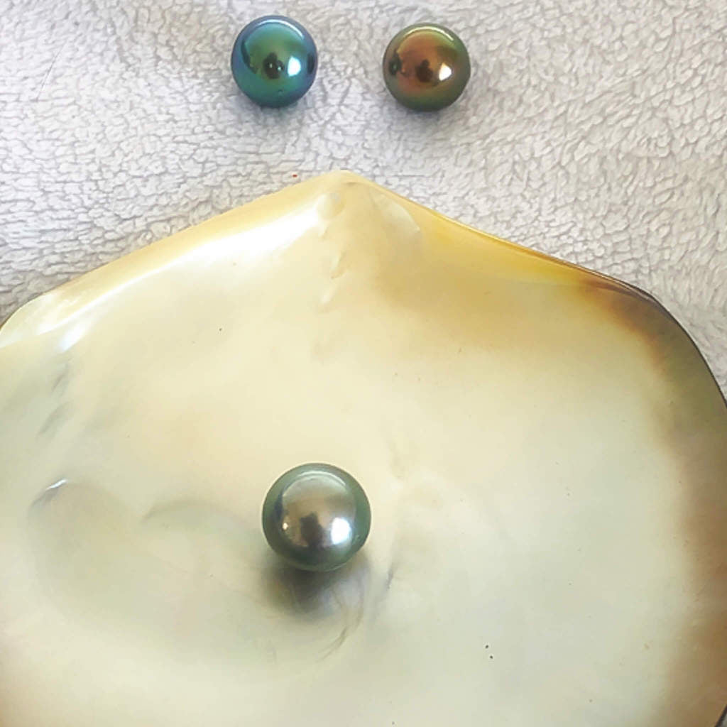 Genuine Tahitian Pearl Necklace- Light Silver